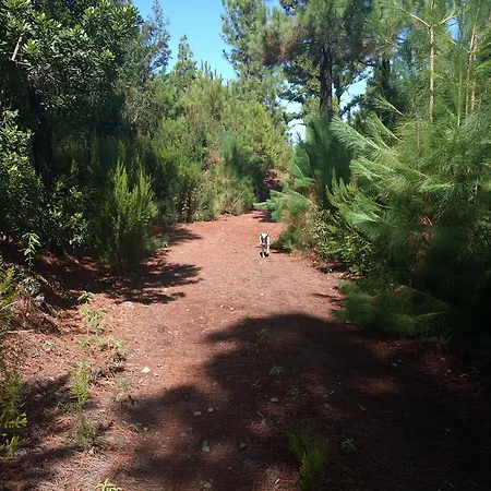 Летний дом Casa Ida