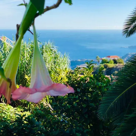 Casa Ida * Гарачико