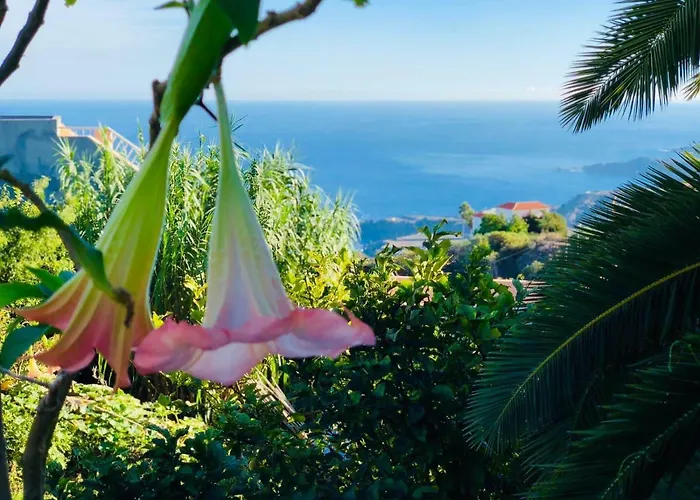 Casa Ida * Garachico (Tenerife)