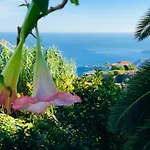 Casa Ida * Garachico (Tenerife)