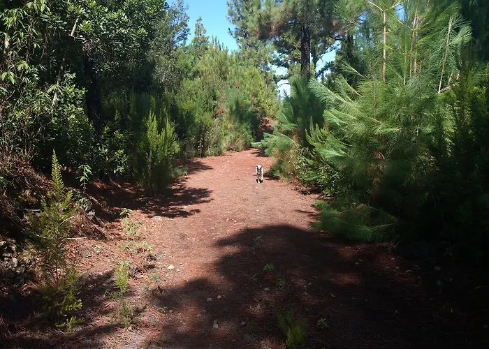 Hétvégi ház Casa Ida